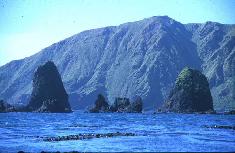 Island coastline and marine environment