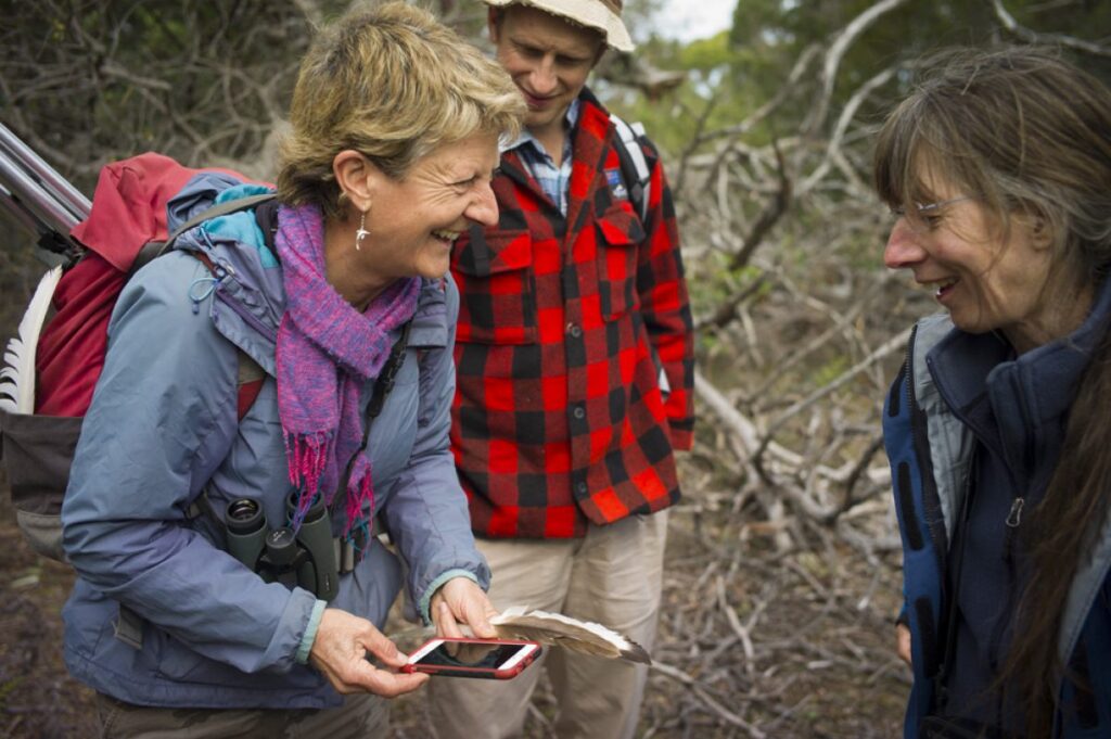 People collaborating on island conservation